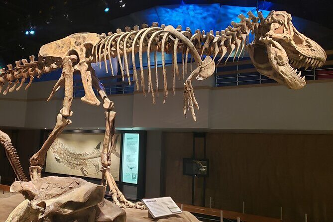 1 Day Drumheller Private Group Custom Tour: Calgary to Badlands - Key things I’d pay attention to before you go