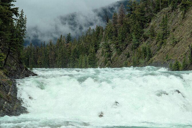 1 Day of Banff Viewpoints Lakes Bow Valley in Private Custom Tour - Private Van Comfort: The Real Advantage Over Self-Driving