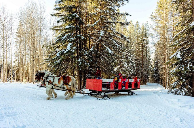 1 Hour Shared Winter Sleigh Ride Experience in Kananaskis - Stop 3 in Calgary: how the ride fits your bigger trip plan
