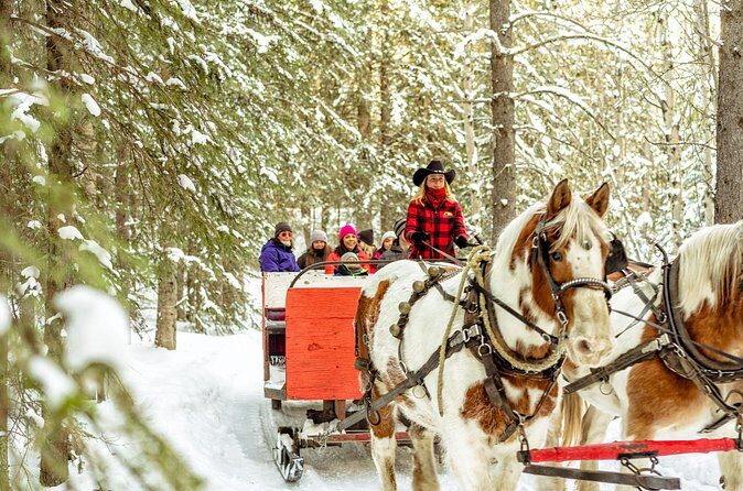 1 Hour Shared Winter Sleigh Ride Experience in Kananaskis - Who this ride is best for (and who might want something else)