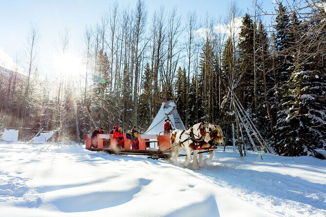 1 Hour Shared Winter Sleigh Ride Experience in Kananaskis - Stop 1 in Kananaskis Country: sleigh time plus the Buffalo Viewing Paddock