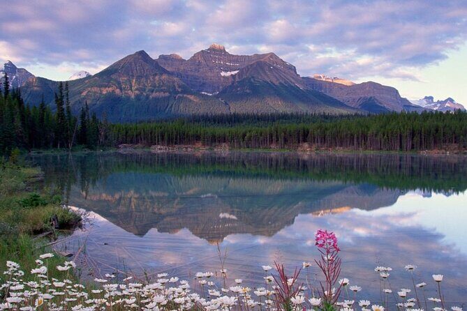 2-3 Days Lake Louise Moraine Gondola Johnston Canyon Icefield - Peyto, Bow Lake, and Crowfoot Glacier: what the Icefield day teaches you