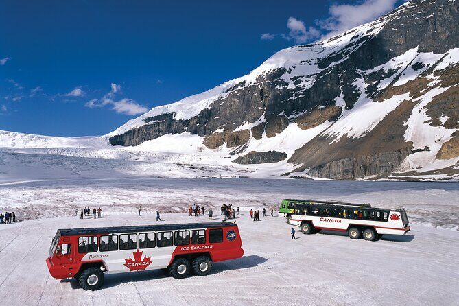 3-Day Canadian Rockies Tour: Yoho & Jasper National Park - Bow Lake and the Icefields Parkway: long views on a world-famous drive