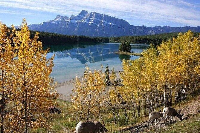 3-Day Rockies Express Tour Package: Banff, Lake Louise and Yoho - How the 3-Day Rockies Express Route Actually Works