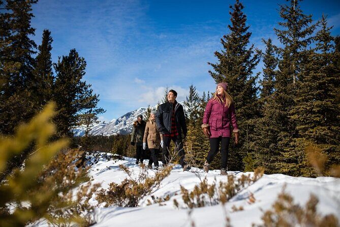 3-Day Rockies Express Tour Package: Banff, Lake Louise and Yoho - Who This Tour Suits Best