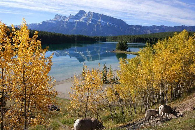 4-Day Banff, Lake Louise, Jasper, Icefield Packaged Tour - Value check: what $989.24 really buys you (and what it doesn’t)