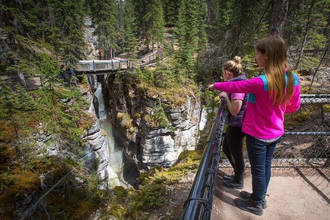 4-Day Rockies Explorer Tour Pkg: Banff, Columbia Icefield, Yoho - Day 3 along the Icefields Parkway: glaciers, turquoise water stops, and the big decision