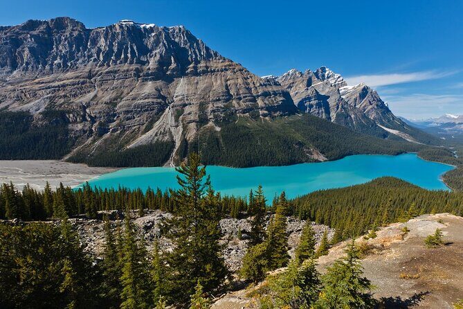 7 Days Canadian Rockies Camping Tour Package - Price and logistics: is $2,349.39 per person good value?