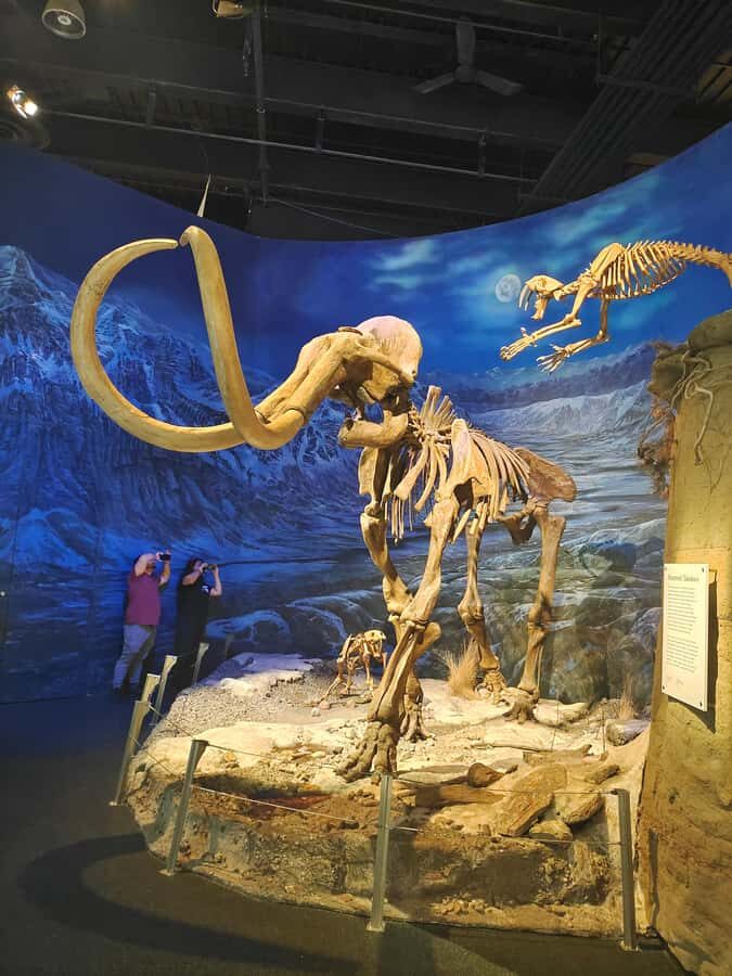 Badlands Tour: Drumheller with Museum, Hoodoos & Coal Mine - Timing and comfort: a 10-hour day needs the right approach