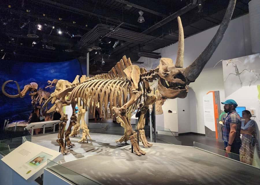 Badlands Tour: Drumheller with Museum, Hoodoos & Coal Mine - Value check: is the $126 per person price fair for what you get?