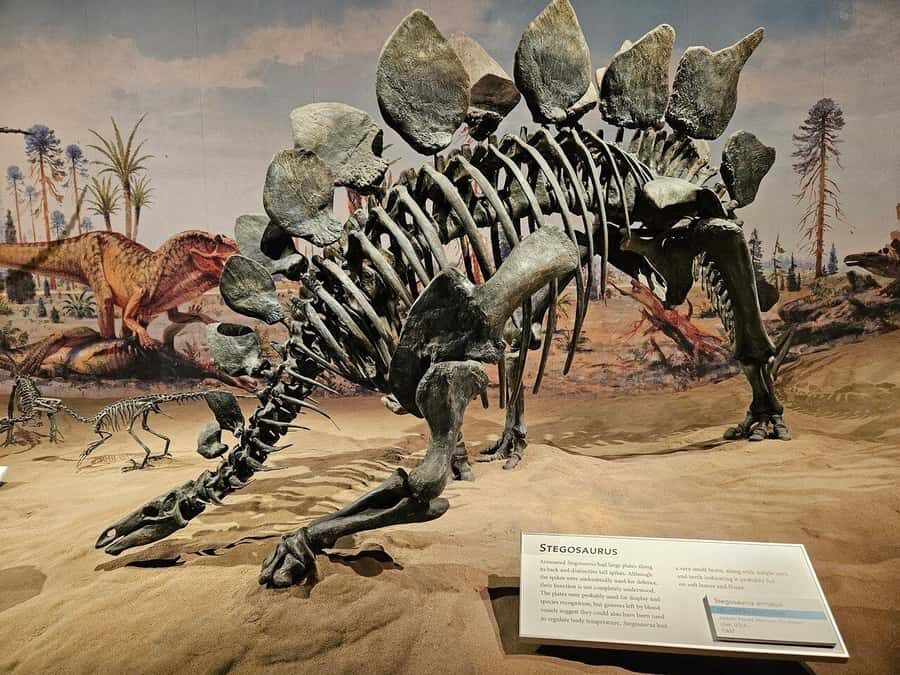 Badlands Tour: Drumheller with Museum, Hoodoos & Coal Mine - Who should book this tour—and who might skip it?