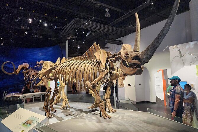 Badlands Tour: Drumheller with Museum, Hoodoos & Dinosaurs - Royal Tyrrell Museum: Fossils, Skeletons, and the Lab-Style Details