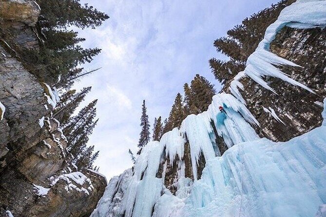 Banff Area & Johnston Canyon 1-Day Tour from Calgary or Banff - Should You Book This Banff and Johnston Canyon Day Tour?