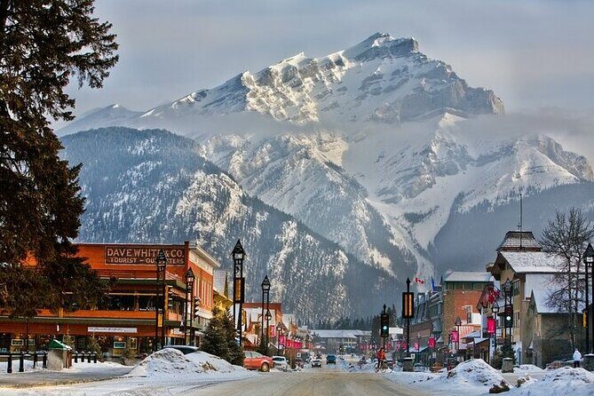 Banff Area & Johnston Canyon 1-Day Tour from Calgary or Banff - The Stops That Deliver: Sulphur Mountain, Bow Falls, and Quick-Photo Lookouts
