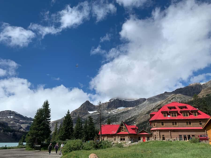 Banff: Columbia Icefield, Skywalk, Parkway, Bow & Peyto Lake - Icefields Parkway and Columbia Icefield: The Big Reason to Choose This Day