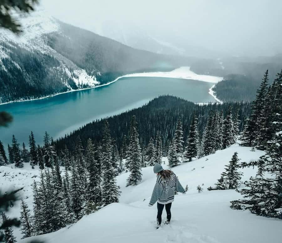 Banff: Columbia Icefield, Skywalk, Parkway, Bow & Peyto Lake - Columbia Icefield and the Ice Explorer: Worth the Extra Time