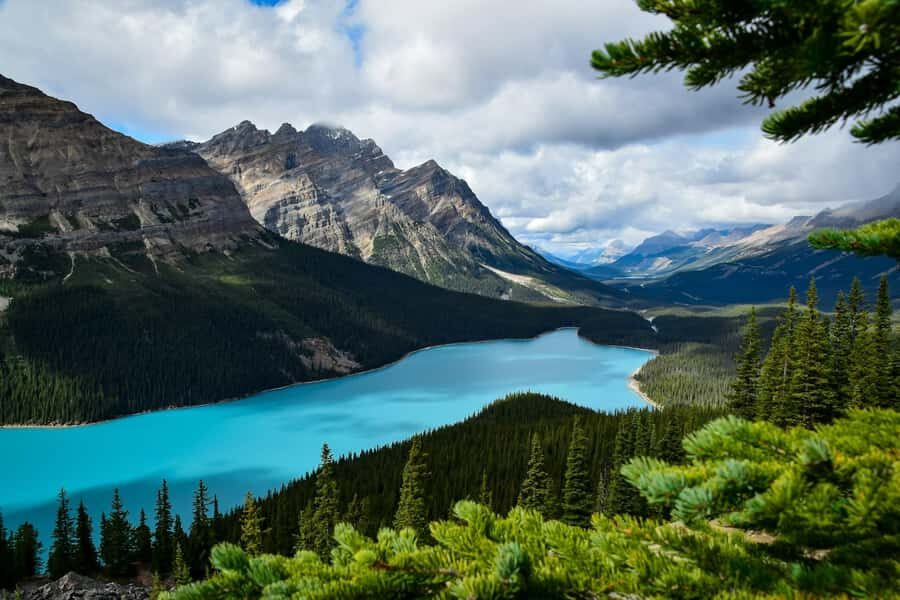 Banff: Columbia Icefield, Skywalk, Parkway, Bow & Peyto Lake - How the Day Works From Calgary, Canmore, or Banff