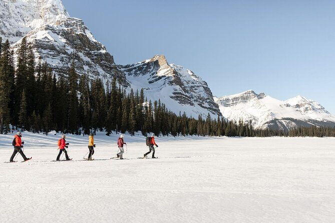 Banff Day Trip: Johnston Canyon, Fairmont Banff Springs, Gondola - Bow Falls and Surprise Corner: short stops that do real work