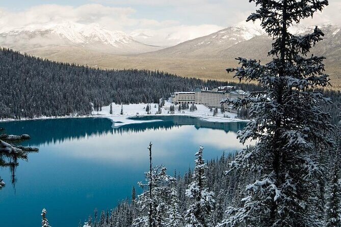 Banff Day Trip: Johnston Canyon, Fairmont Banff Springs, Gondola - Optional Banff Gondola: what it adds (and what it costs you)