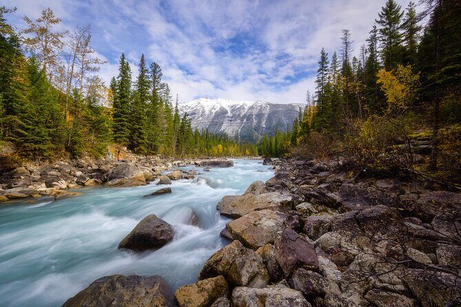 Banff Gondola Lake Minnewanka Johnston canyon and Banff Town - Banff Town Time: Lunch, Banff Avenue, and Souvenir Stops