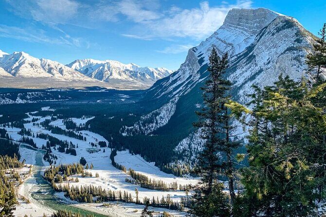 Banff Highlights: Moraine Lake, Lake Louise and beyond - Bow Falls: the quick stop that keeps the momentum