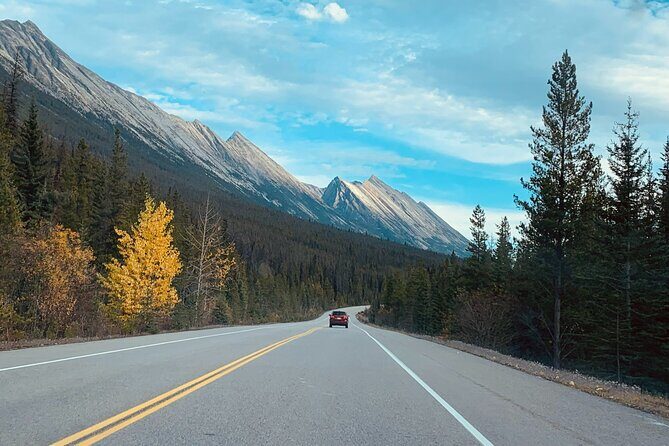 Banff: Lake Louise, Marble Canyon, Bow Lake, Peyto Lake Tour - Peyto Lake: The Turquoise Signature (Plus a Short Walk)