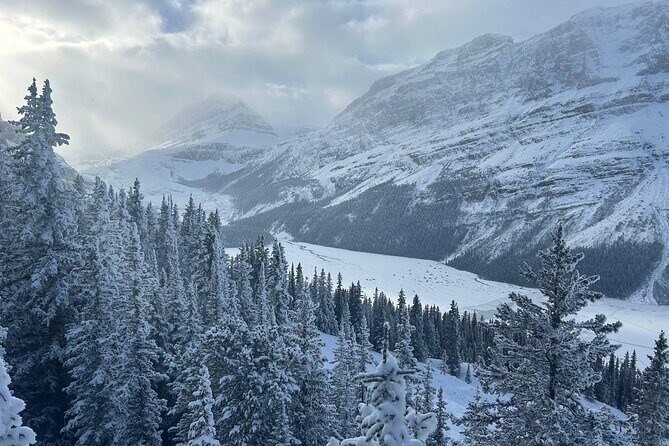 Banff Lakes and Canyon Adventure - Price and What You’re Really Paying For ($81.48)