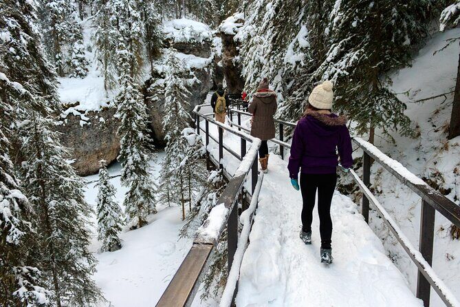 Banff National Park & Lake Louise FULL DAY PRIVATE TOUR - Johnston Canyon: waterfalls, a tunnel walk, and the Ice Walk with rivet shoes