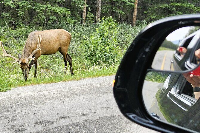 Banff Private Tour - Beyond the basics - Two Jack Lake and Lake Minnewanka: quick stops with big reward