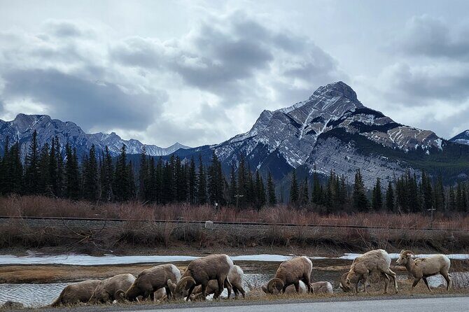 Banff Private Tour - Beyond the basics - Price and value: why this is around $215 and what that buys you