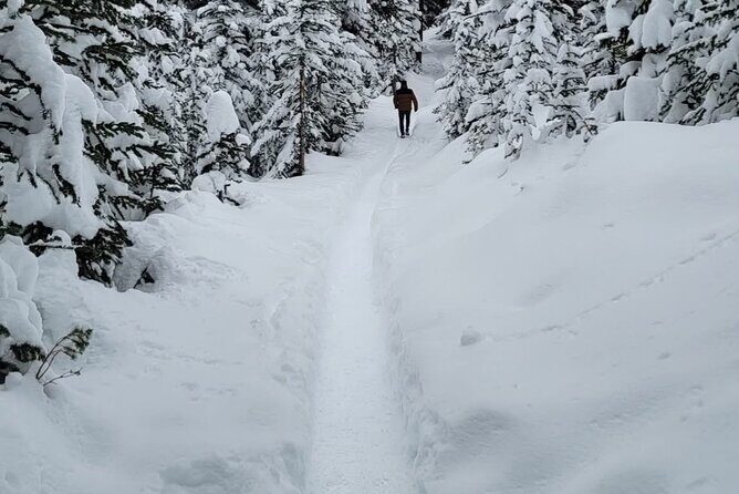 Banff Town, Lake Louise, Moraine, Emerald & Canyon Day Trip - The Banff Sign Photo Break: Why It’s Worth 45 Minutes