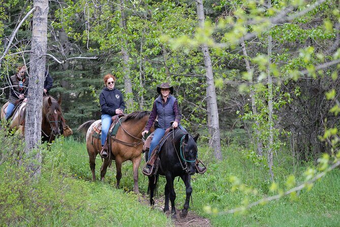 Buffalo Loop 1-Hour Horseback Trail Ride in Kananaskis - Key things you’ll notice on the Buffalo Loop