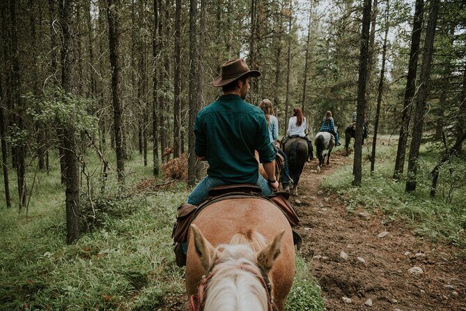 Buffalo Loop 1-Hour Horseback Trail Ride in Kananaskis - Wildlife chances on a guided walk: what you can actually look for