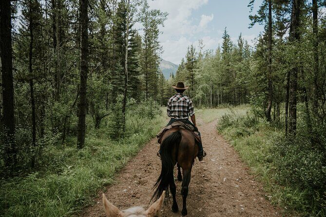 Buffalo Loop 1-Hour Horseback Trail Ride in Kananaskis - Guides, safety, and the walking-pace approach that keeps learning simple