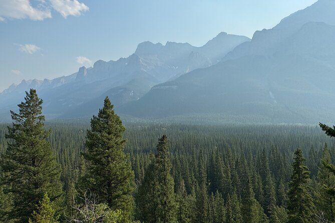 Calgary Airport to Canmore Private Transfer - Calgary Airport Pickup: Sign, Luggage Help, and Arrival Level