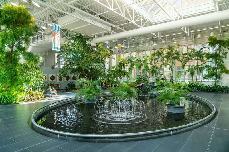 Calgary: City Highlights Walking Tour | 3-Hour - Stephen Avenue and Arts Commons: where downtown’s “day-to-day” begins