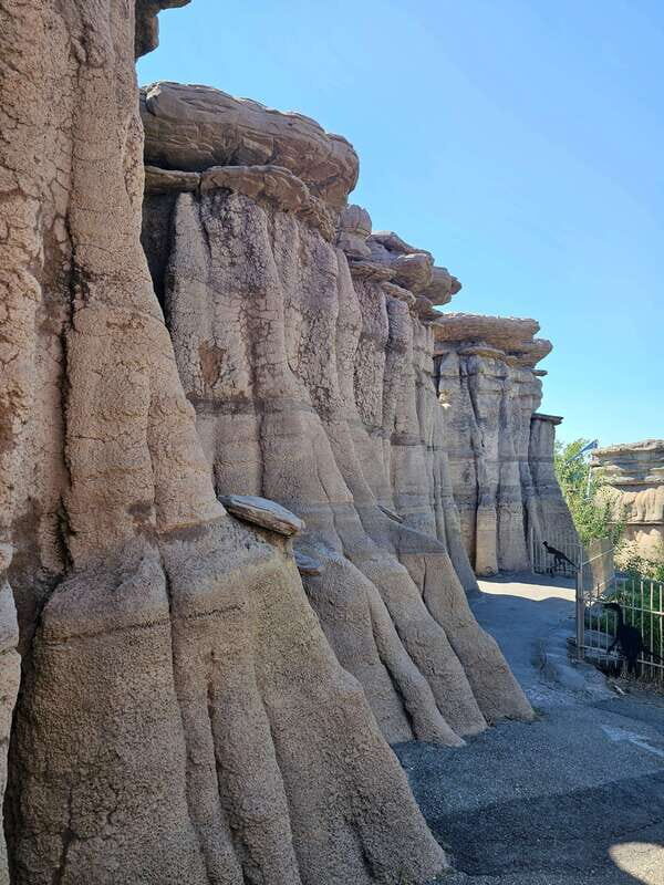 Calgary City Tour & Yamnuska Wolfdog Sanctuary Private Tour - Downtown Photo Stops That Don’t Eat Your Whole Day