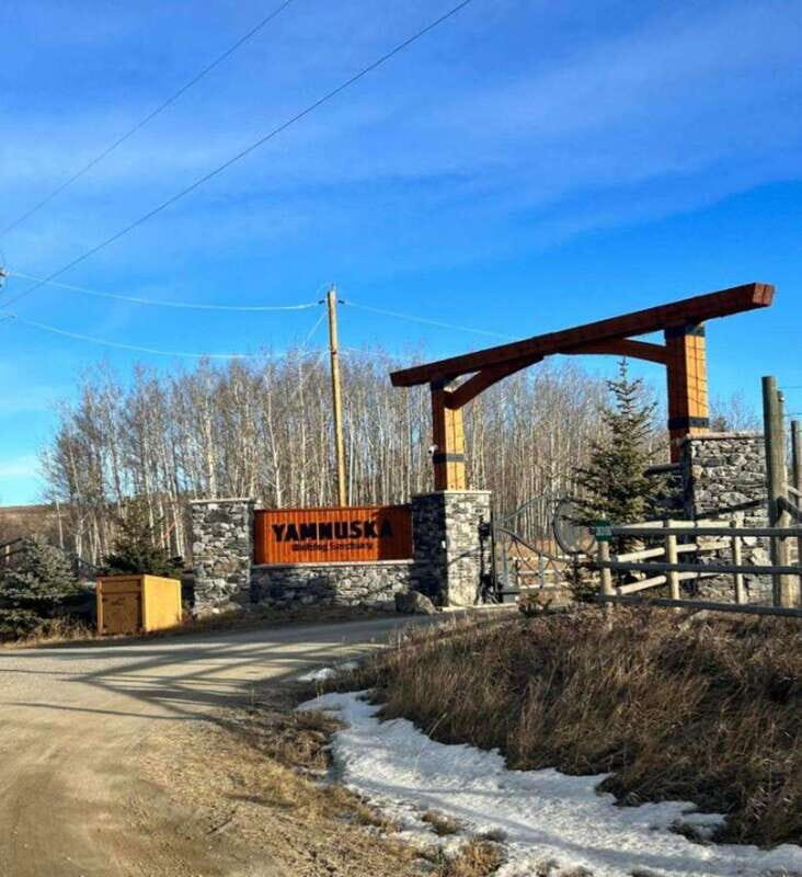 Calgary City Tour & Yamnuska Wolfdog Sanctuary Private Tour - Calgary Zoo and Calgary Tower: Pay Only for What You Want