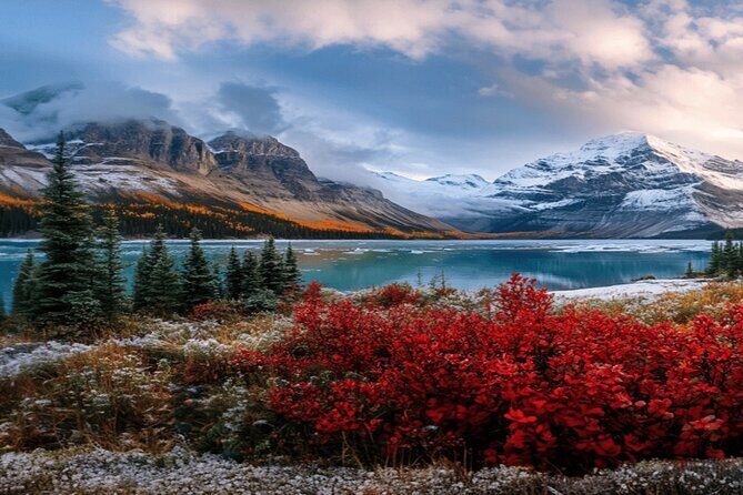 Calgary: Columbia Icefield Adventure, Skywalk and Peyto Lake Tour - Columbia Icefield Glacier Adventure: The Included Walk That’s the Main Event