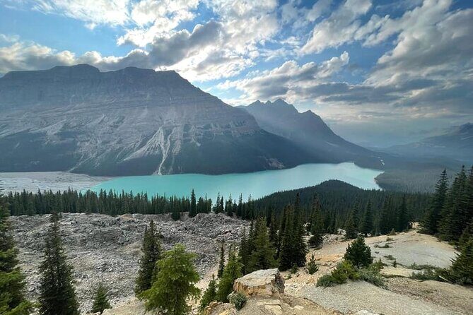 Calgary: Columbia Icefield, Skywalk, Crowfoot Glacier and Lakes - Saskatchewan River Crossing: rivers meet, history meets the view