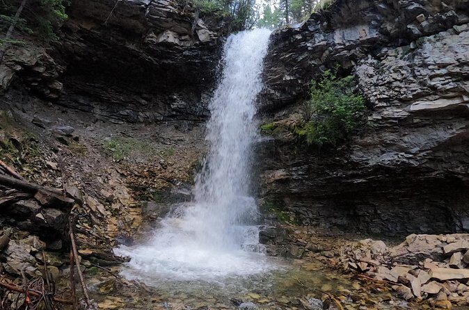 Calgary to the Rocky Mountains Private Day Tour - Stop 3: Kananaskis Village for a quick reset (30 minutes)