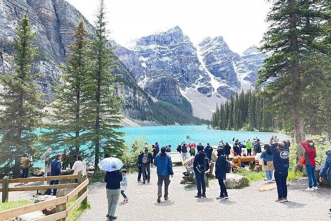 Calgary YYC Airport to Banff Hotels (Shared Shuttle Bus) - YYC Pickup at Pillar 15: How to Not Miss the Bus