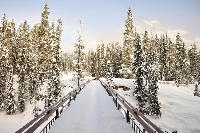Canadian Rockies Golden Hour Tour | Lunch Included - Key moments you’ll care about