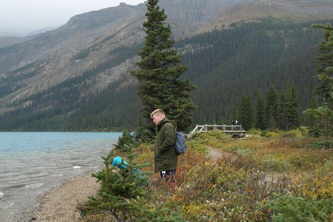 Canadian Rockies Golden Hour Tour | Lunch Included - Abraham Lake: calm views and an ancient limber pine