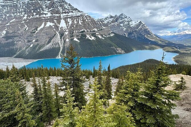 Columbia Icefield, Crowfoot Glacier and Bow ,Peyto Lake Tour - Lake Louise: iconic views with two chances to feel the place