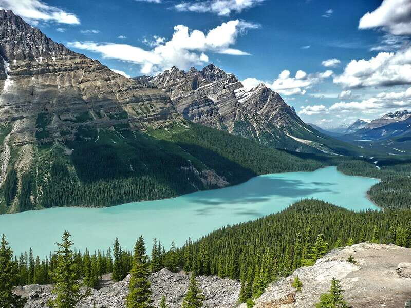 Columbia Icefield, Peyto Lake, Bow Lake Discovery Tour - Bow Lake (about 20 minutes): short stop, strong payoff