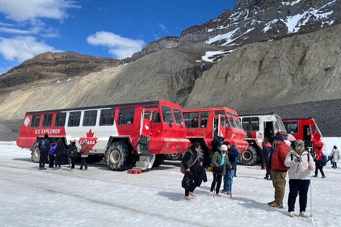 Columbia Icefield Peyto Lake Bow Lake from Calgary Canmore Banff - Key points to know before you book