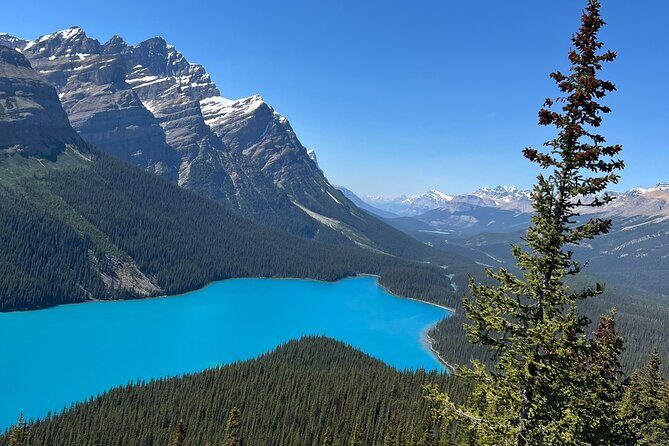 Columbia Icefield Peyto Lake Bow Lake from Calgary Canmore Banff - What’s Included, What’s Not, and How to Judge Value