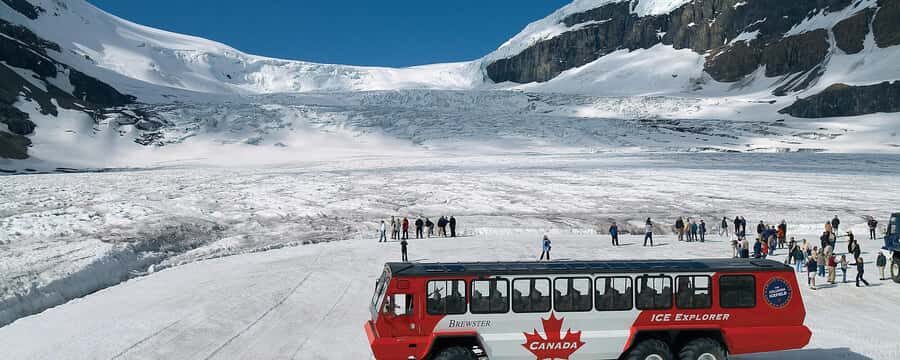 Columbia icefield, Skywalk, Waterfowl, Bow & Peyto Lake Tour - Crowfoot Glacier: Where Ice Meets Sunlight