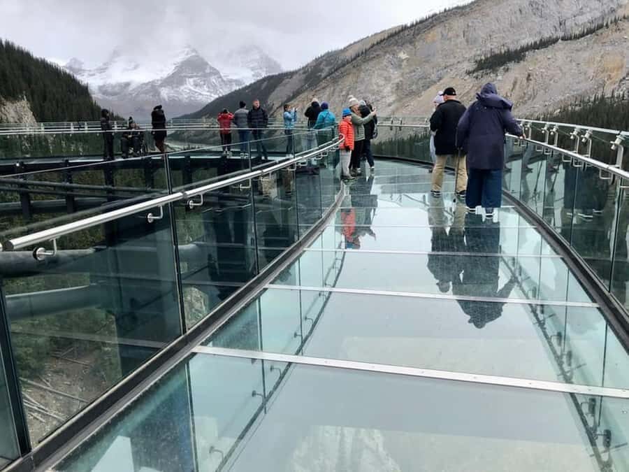 Columbia icefield, Skywalk, Waterfowl, Bow & Peyto Lake Tour - Peyto Lake and Bow Lake: Turquoise Views With Easy Photo Stops